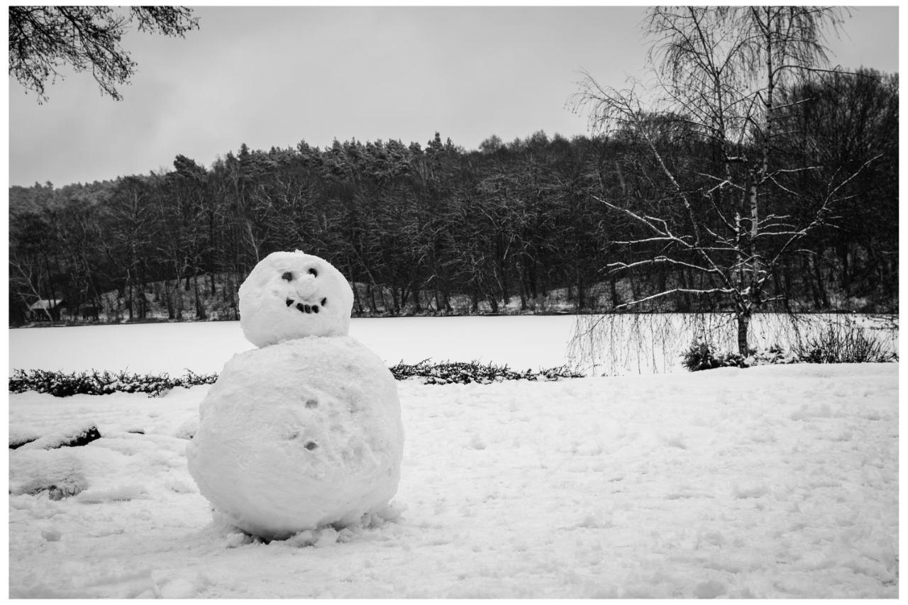 Lubie Domek Nowa Wioska Dış mekan fotoğraf